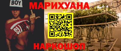 гидра Тула